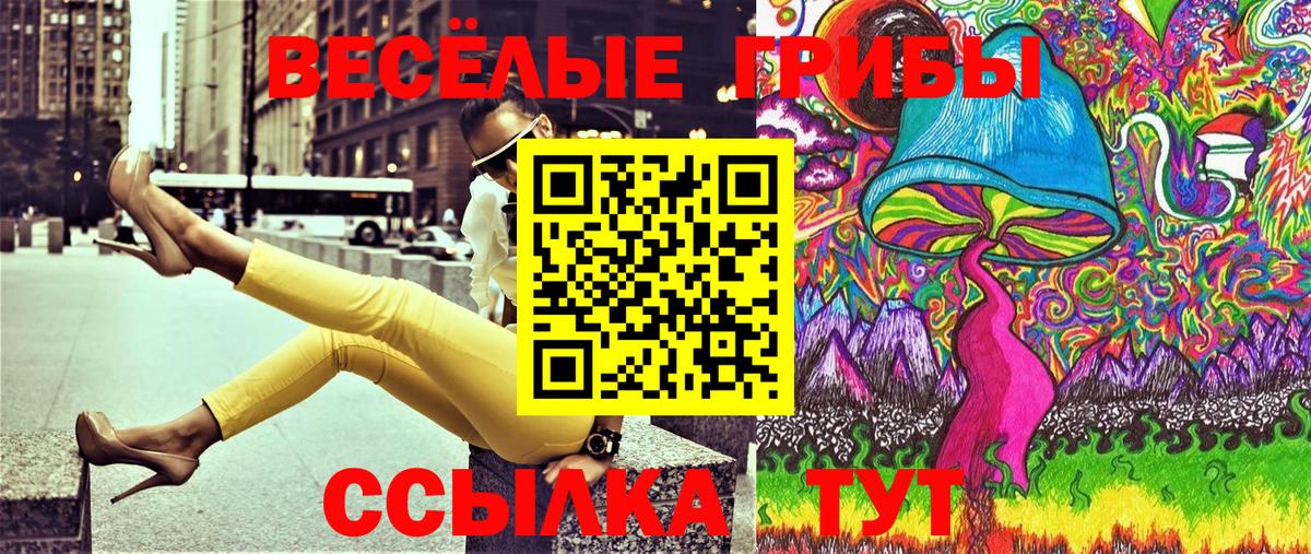 Гагарин  Псилоцибиновые грибы MAGIC MUSHROOMS  Вход с VPN 